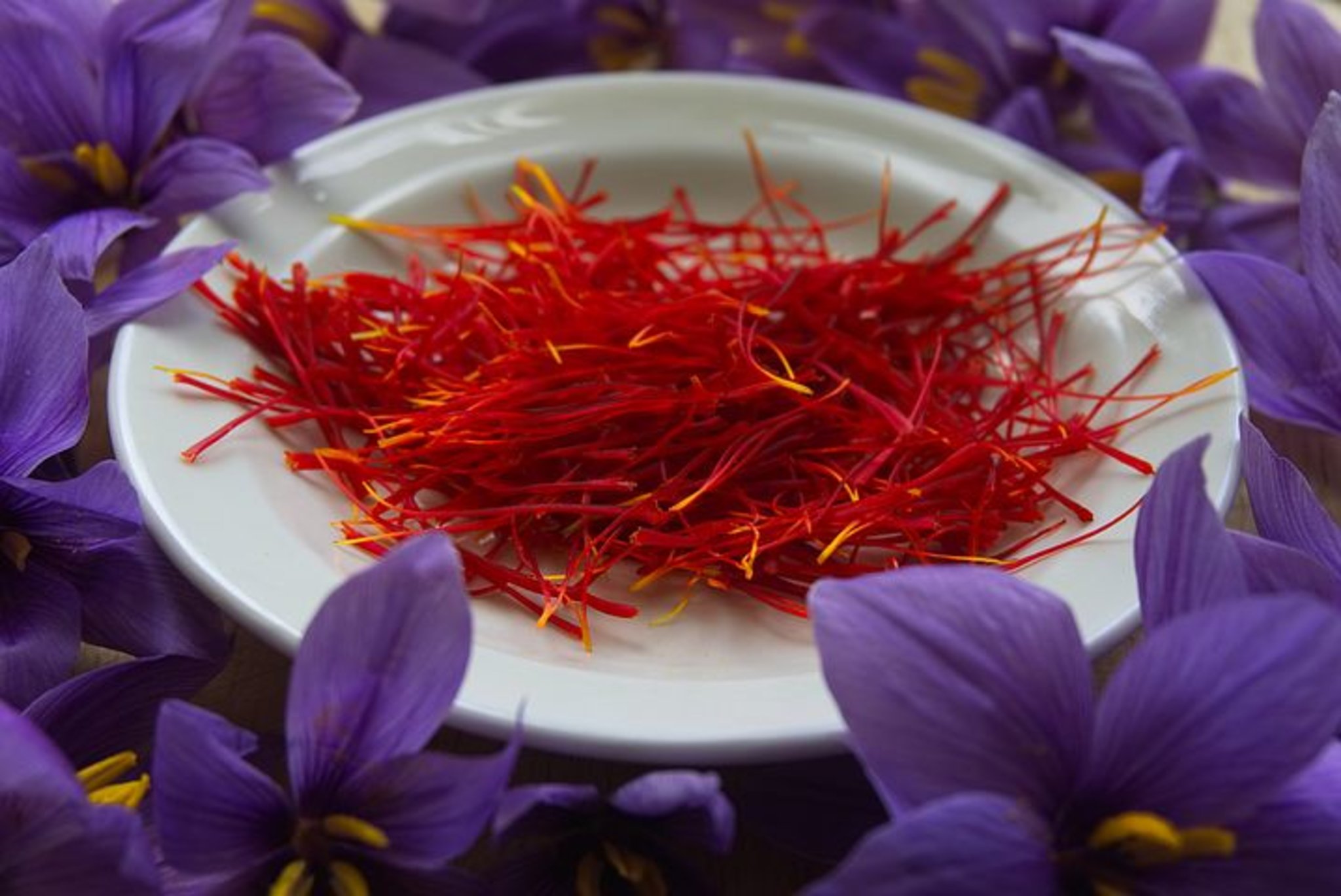 The Saffron House: history, passion, taste