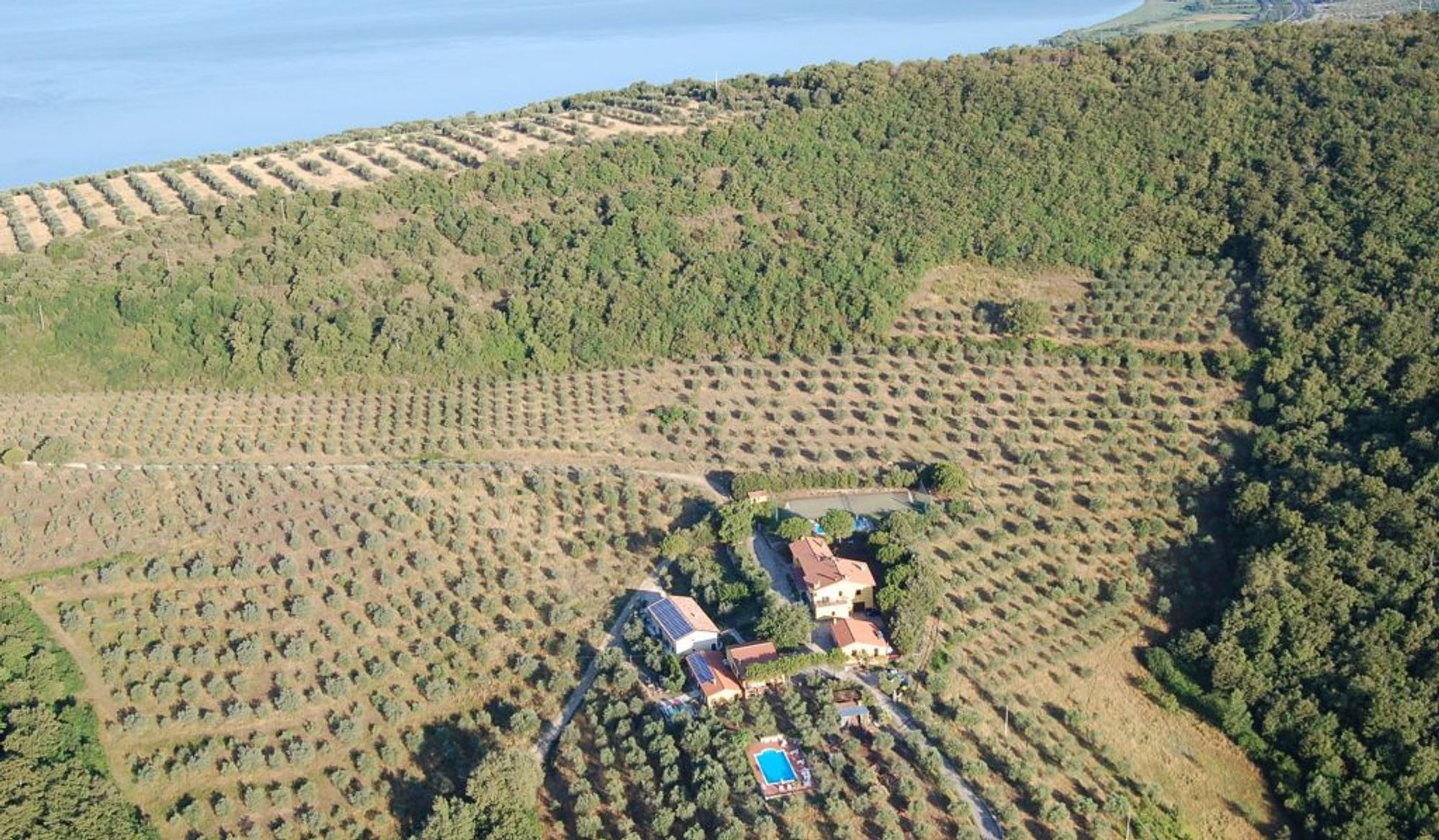 Cantina Nofrini: vini ad un passo dal Trasimeno