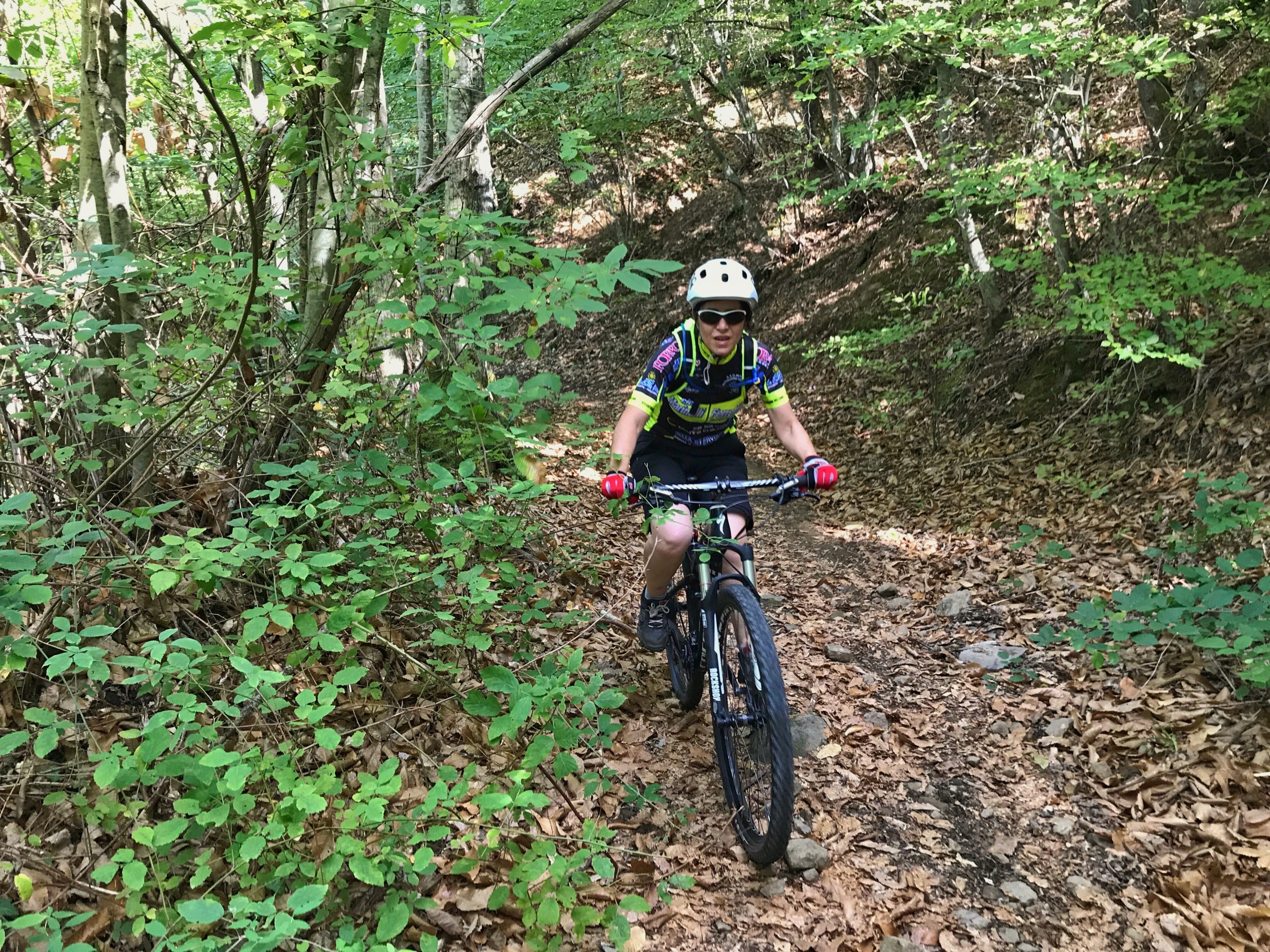 Mountain bike excursion with lunch or dinner in farm house